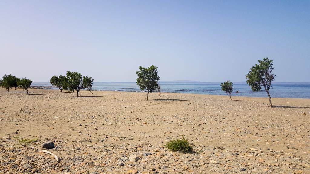 Kritamos Beach Apartments Frangokastello Exteriör bild